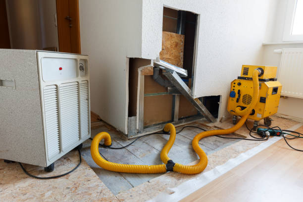 Best Environmental Consulting for Mold Prevention  in USA